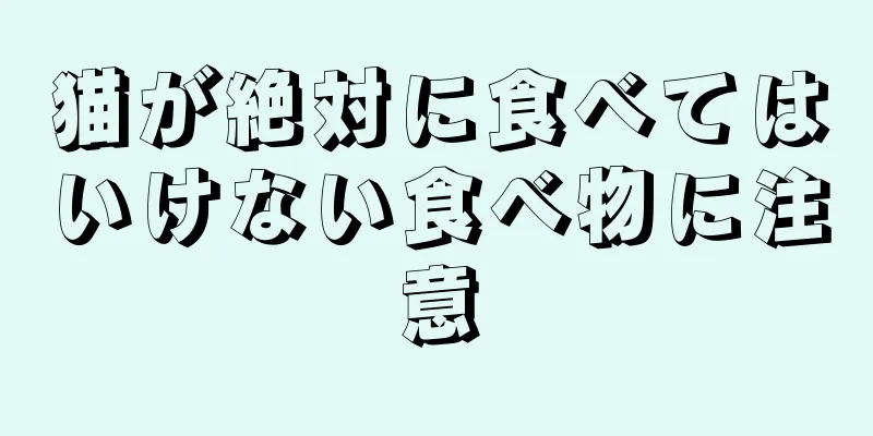 猫が絶対に食べてはいけない食べ物に注意