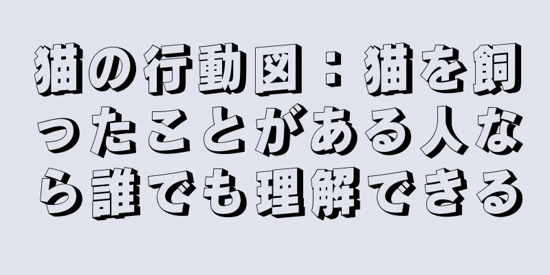 猫の行動図：猫を飼ったことがある人なら誰でも理解できる
