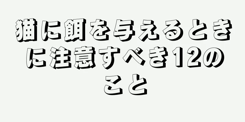 猫に餌を与えるときに注意すべき12のこと