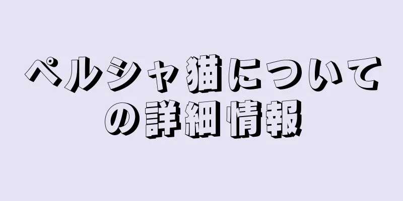 ペルシャ猫についての詳細情報
