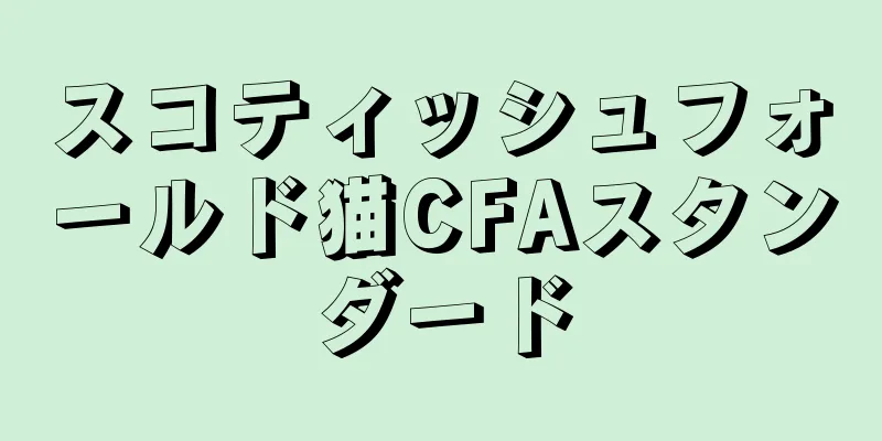 スコティッシュフォールド猫CFAスタンダード