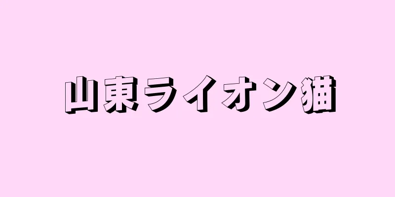 山東ライオン猫