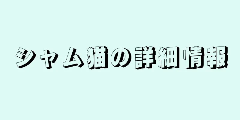 シャム猫の詳細情報