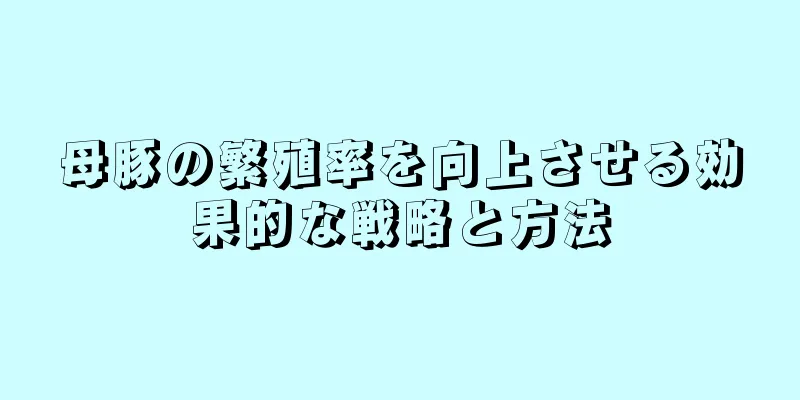 母豚の繁殖率を向上させる効果的な戦略と方法