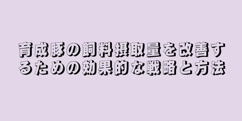 育成豚の飼料摂取量を改善するための効果的な戦略と方法