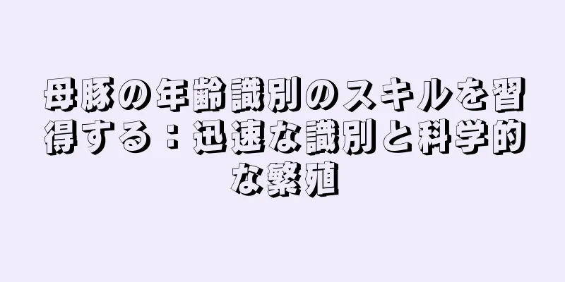 母豚の年齢識別のスキルを習得する：迅速な識別と科学的な繁殖