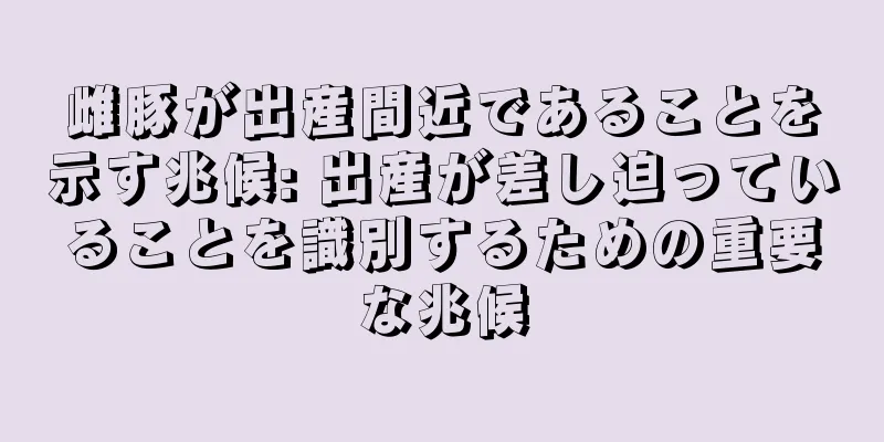 雌豚が出産間近であることを示す兆候: 出産が差し迫っていることを識別するための重要な兆候