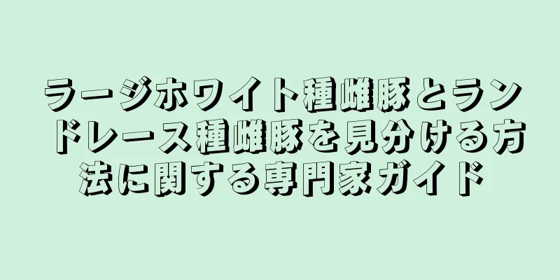 ラージホワイト種雌豚とランドレース種雌豚を見分ける方法に関する専門家ガイド