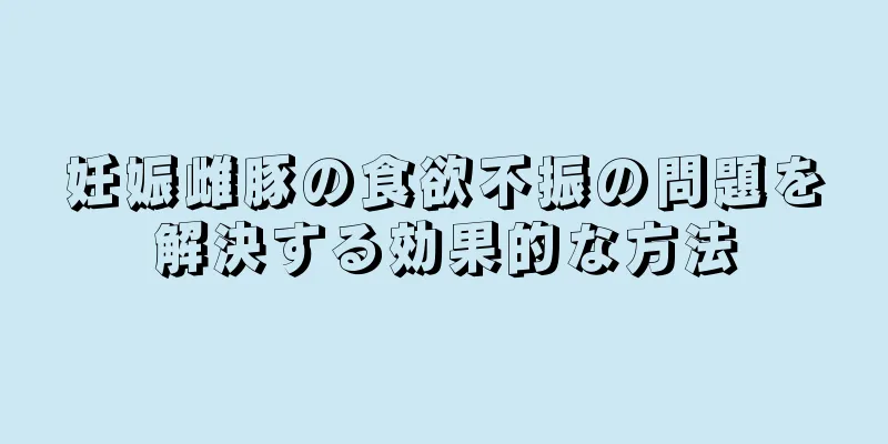 妊娠雌豚の食欲不振の問題を解決する効果的な方法