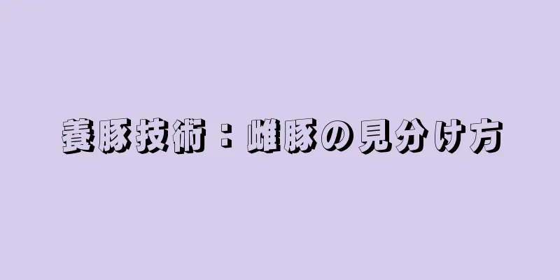 養豚技術：雌豚の見分け方