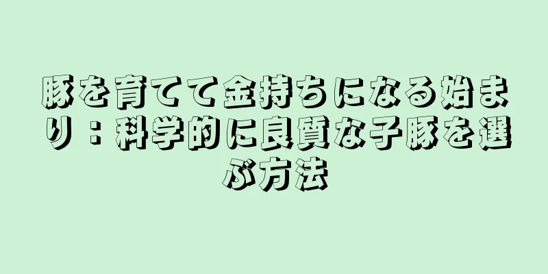 豚を育てて金持ちになる始まり：科学的に良質な子豚を選ぶ方法