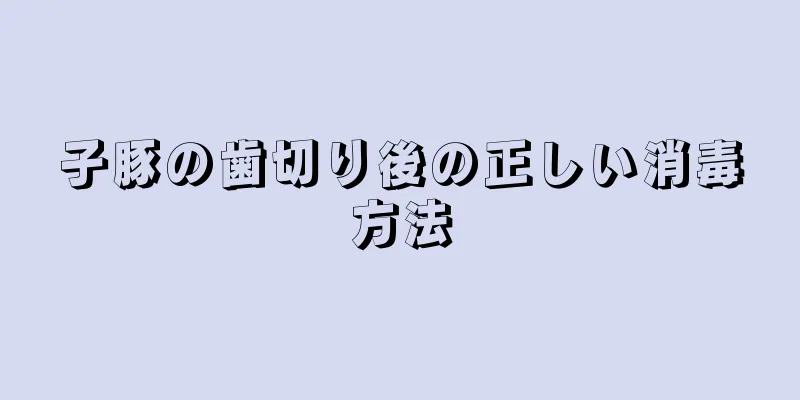 子豚の歯切り後の正しい消毒方法