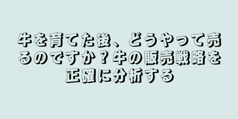 牛を育てた後、どうやって売るのですか？牛の販売戦略を正確に分析する