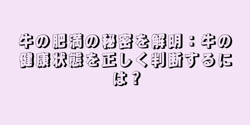 牛の肥満の秘密を解明：牛の健康状態を正しく判断するには？