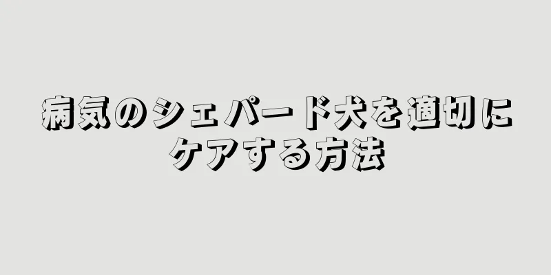 病気のシェパード犬を適切にケアする方法
