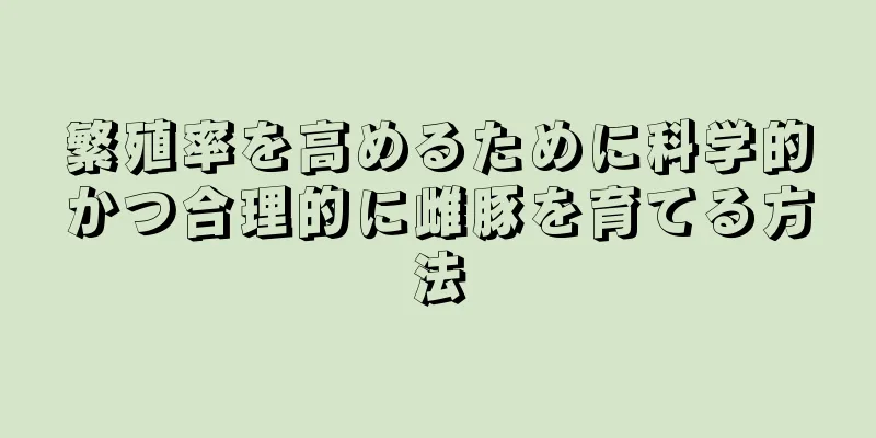 繁殖率を高めるために科学的かつ合理的に雌豚を育てる方法