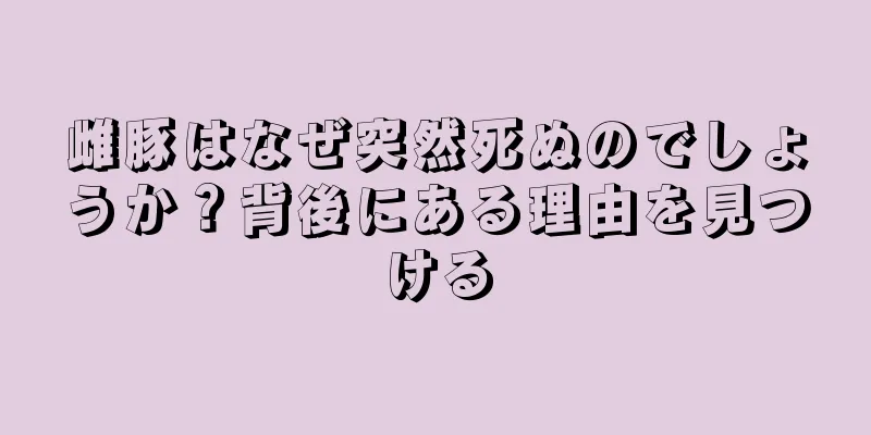 雌豚はなぜ突然死ぬのでしょうか？背後にある理由を見つける
