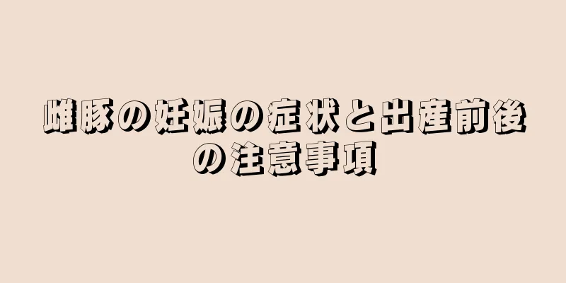 雌豚の妊娠の症状と出産前後の注意事項