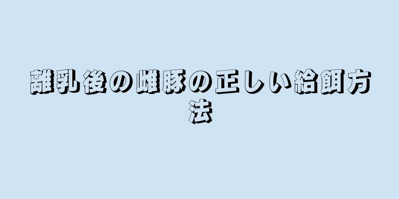 離乳後の雌豚の正しい給餌方法