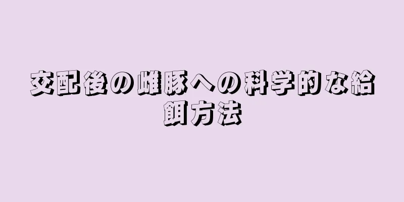 交配後の雌豚への科学的な給餌方法