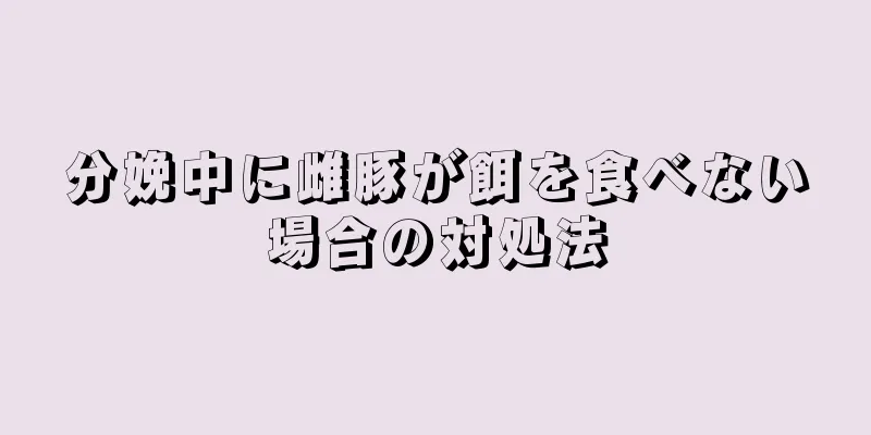 分娩中に雌豚が餌を食べない場合の対処法