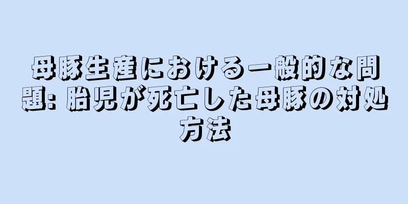 母豚生産における一般的な問題: 胎児が死亡した母豚の対処方法