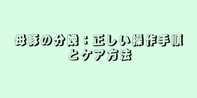 母豚の分娩：正しい操作手順とケア方法