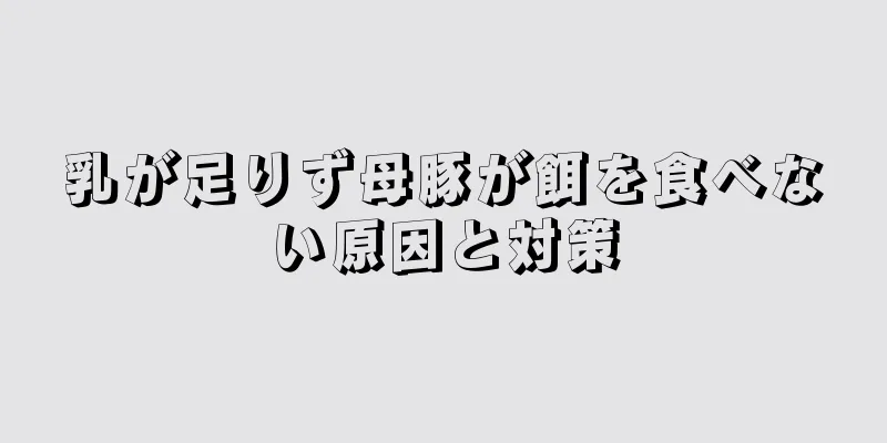 乳が足りず母豚が餌を食べない原因と対策