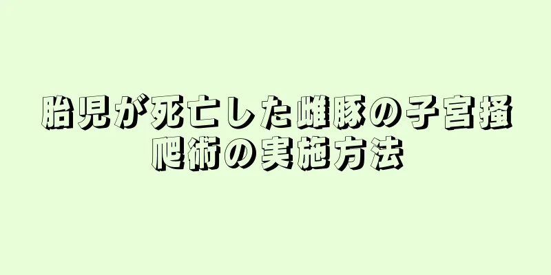 胎児が死亡した雌豚の子宮掻爬術の実施方法