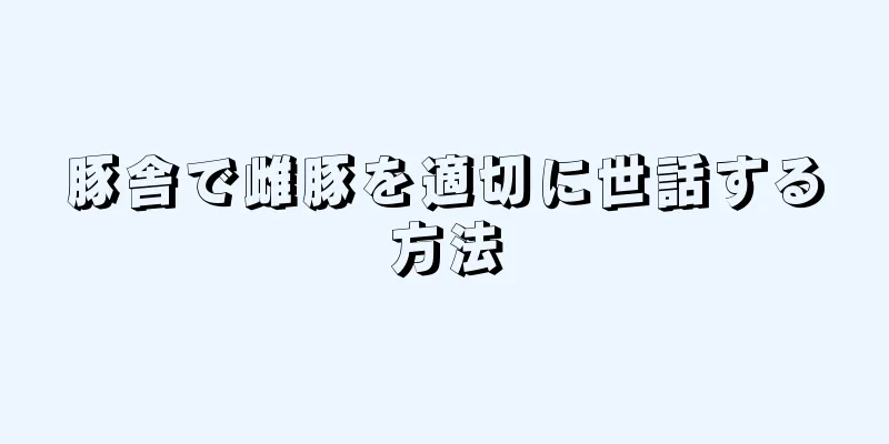 豚舎で雌豚を適切に世話する方法