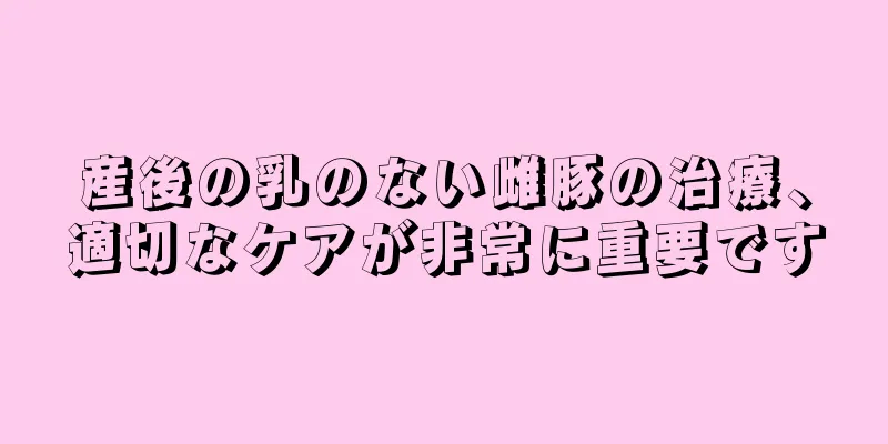 産後の乳のない雌豚の治療、適切なケアが非常に重要です