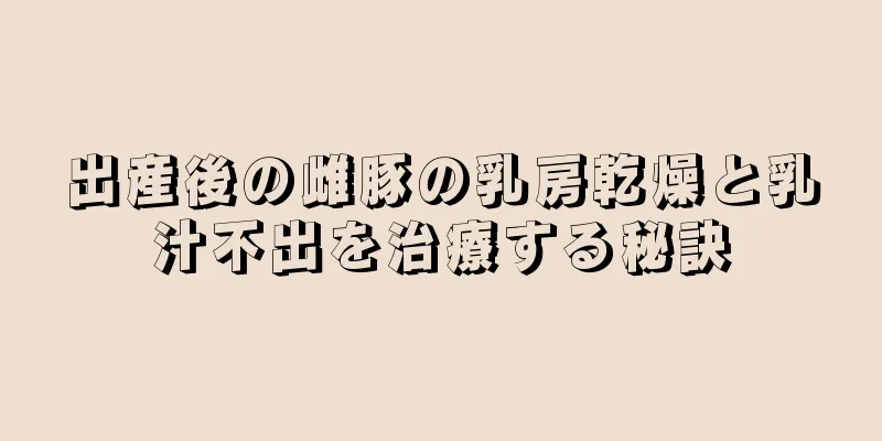 出産後の雌豚の乳房乾燥と乳汁不出を治療する秘訣
