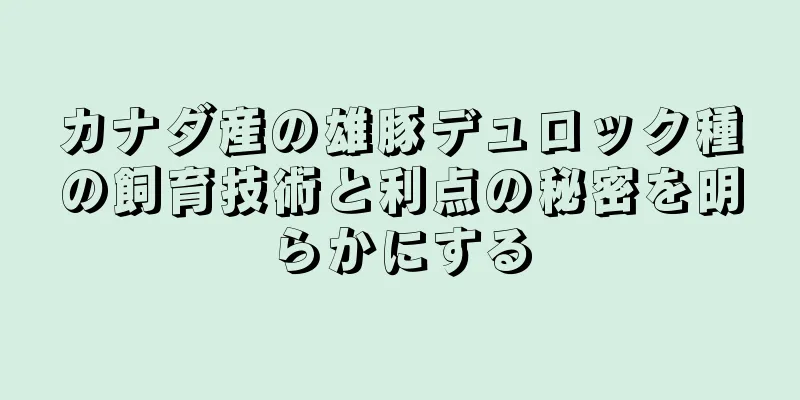 カナダ産の雄豚デュロック種の飼育技術と利点の秘密を明らかにする