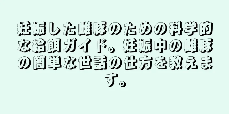 妊娠した雌豚のための科学的な給餌ガイド。妊娠中の雌豚の簡単な世話の仕方を教えます。
