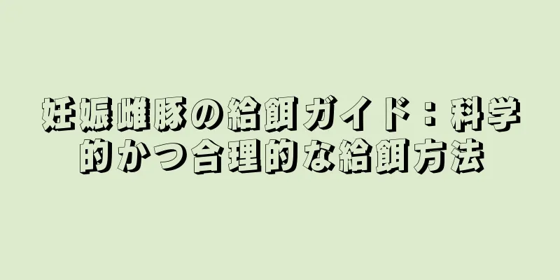 妊娠雌豚の給餌ガイド：科学的かつ合理的な給餌方法