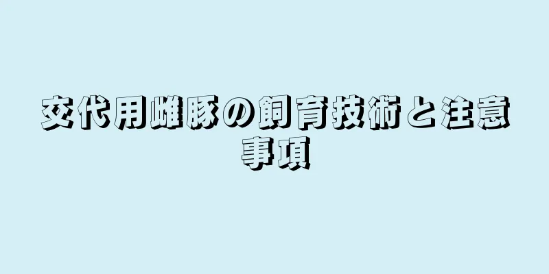 交代用雌豚の飼育技術と注意事項