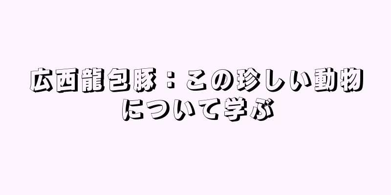 広西龍包豚：この珍しい動物について学ぶ