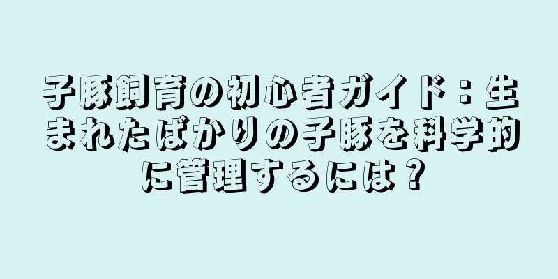 子豚飼育の初心者ガイド：生まれたばかりの子豚を科学的に管理するには？