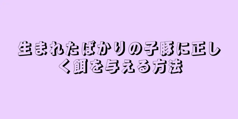 生まれたばかりの子豚に正しく餌を与える方法