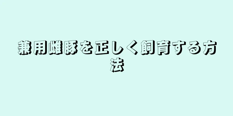 兼用雌豚を正しく飼育する方法