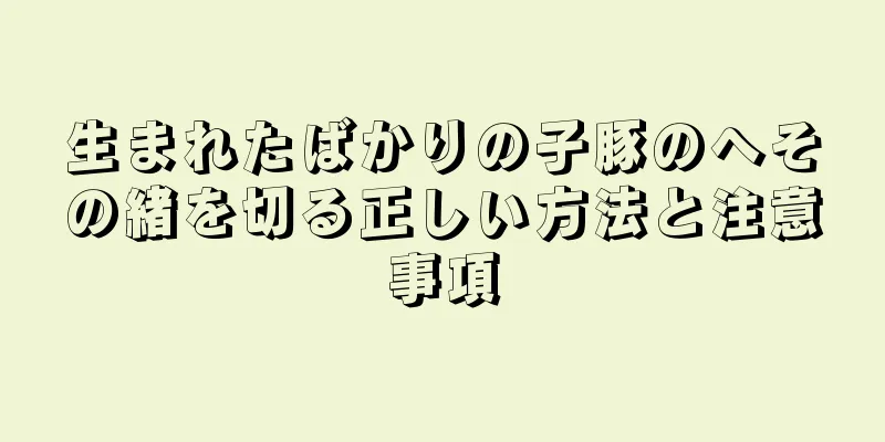 生まれたばかりの子豚のへその緒を切る正しい方法と注意事項