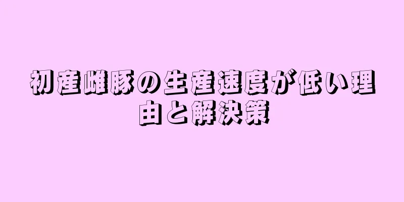 初産雌豚の生産速度が低い理由と解決策