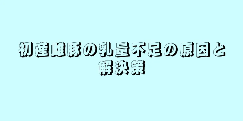 初産雌豚の乳量不足の原因と解決策