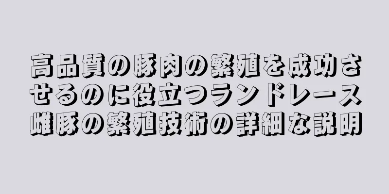 高品質の豚肉の繁殖を成功させるのに役立つランドレース雌豚の繁殖技術の詳細な説明