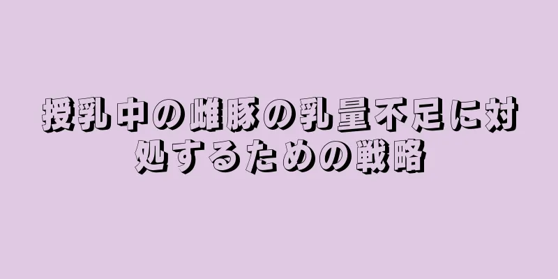 授乳中の雌豚の乳量不足に対処するための戦略