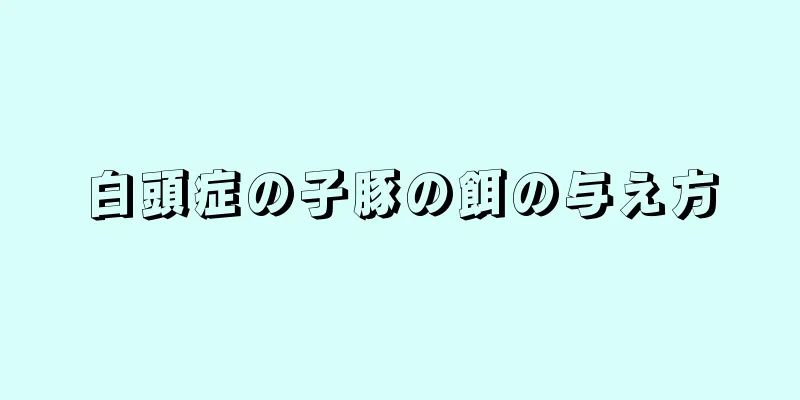 白頭症の子豚の餌の与え方