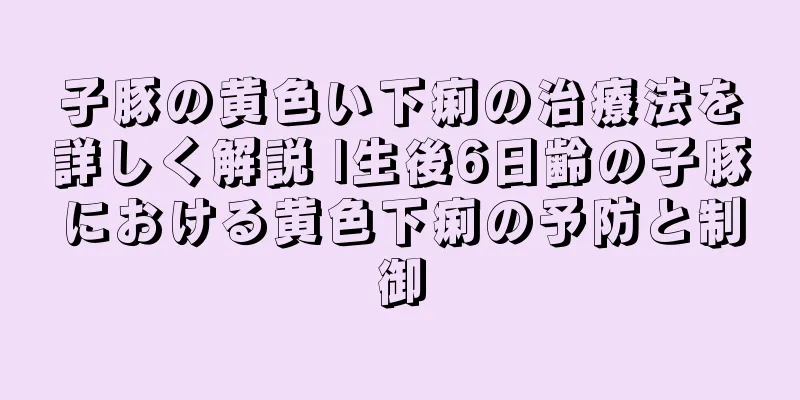 子豚の黄色い下痢の治療法を詳しく解説 |生後6日齢の子豚における黄色下痢の予防と制御