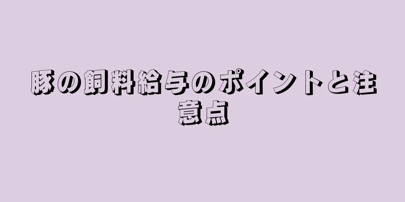 豚の飼料給与のポイントと注意点