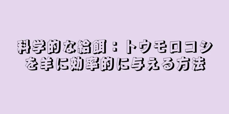 科学的な給餌：トウモロコシを羊に効率的に与える方法
