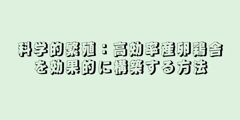 科学的繁殖：高効率産卵鶏舎を効果的に構築する方法